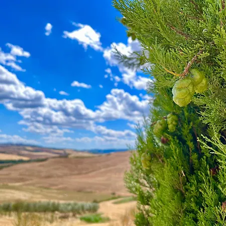 아파트 Poggiosalto In Toscana *